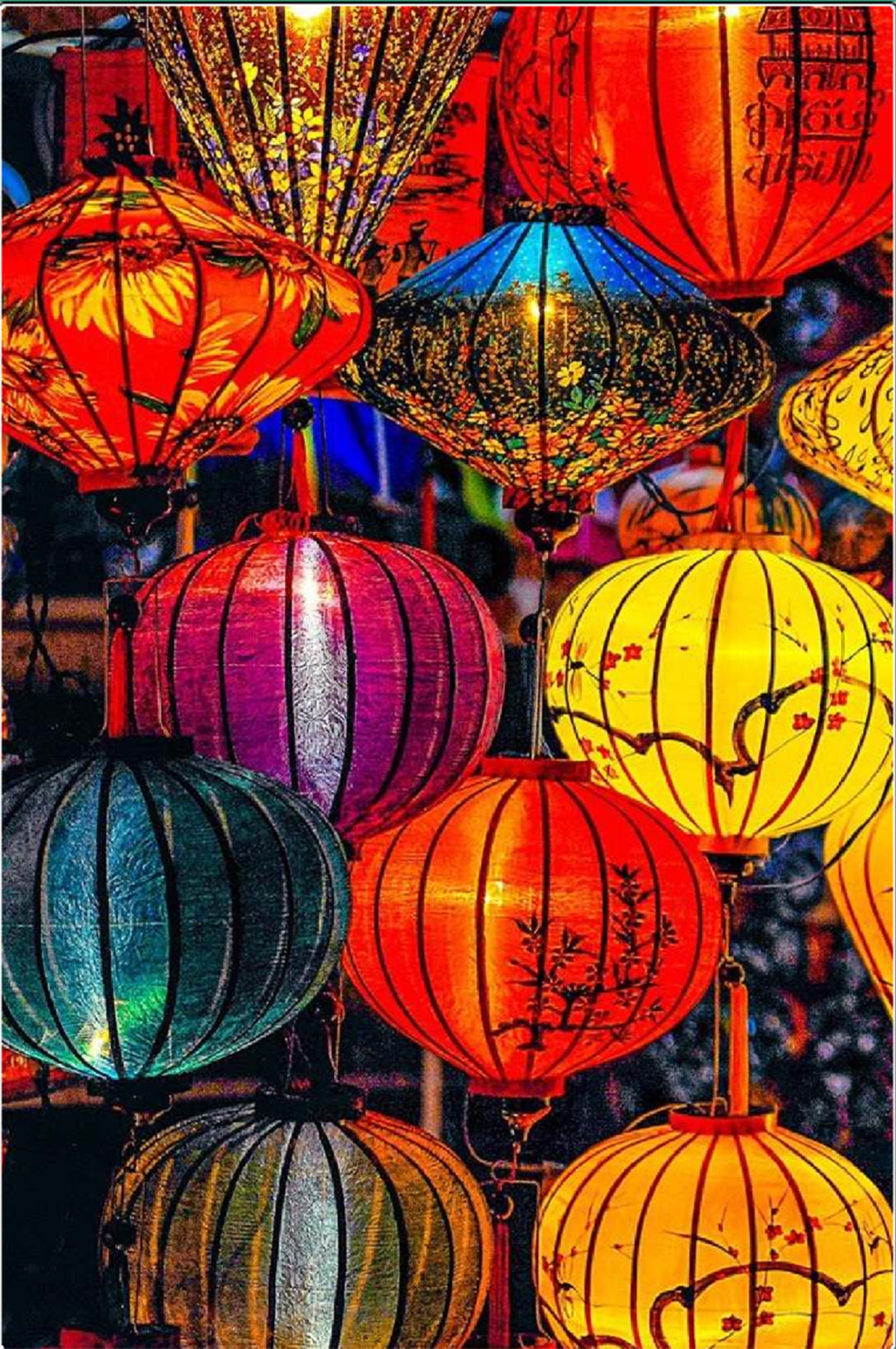 图片 1221