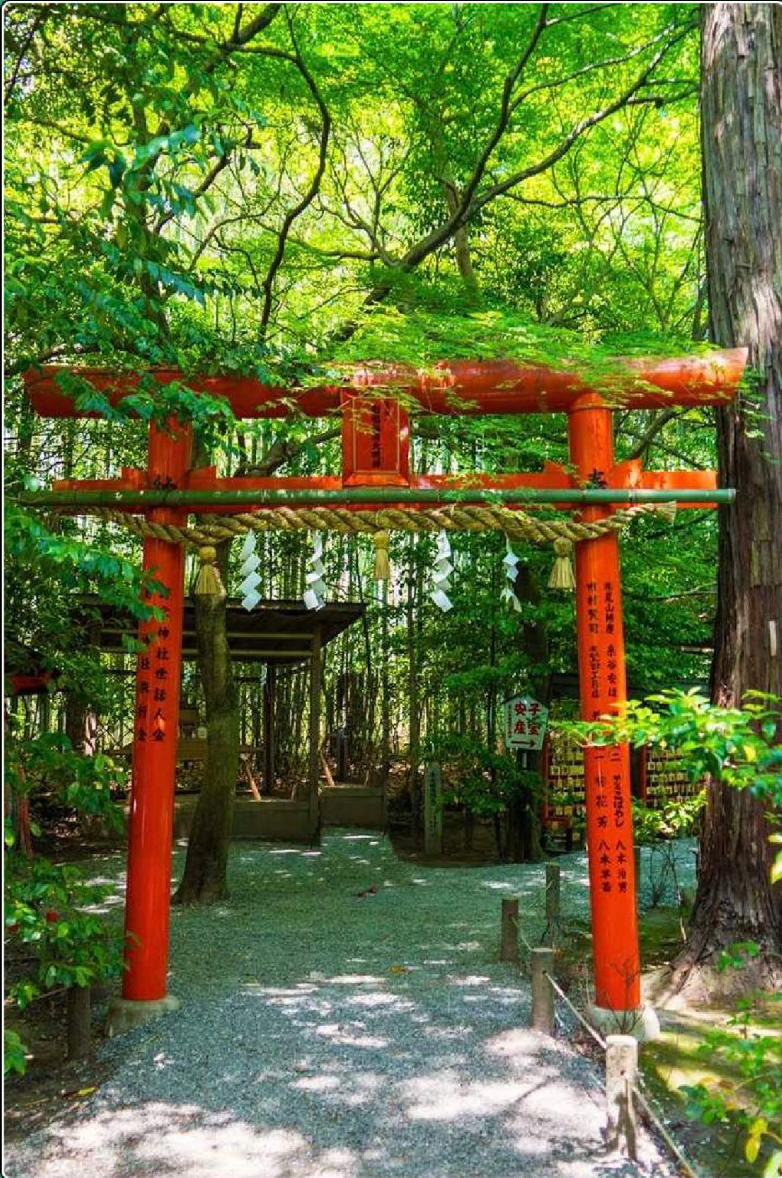 图片 1330