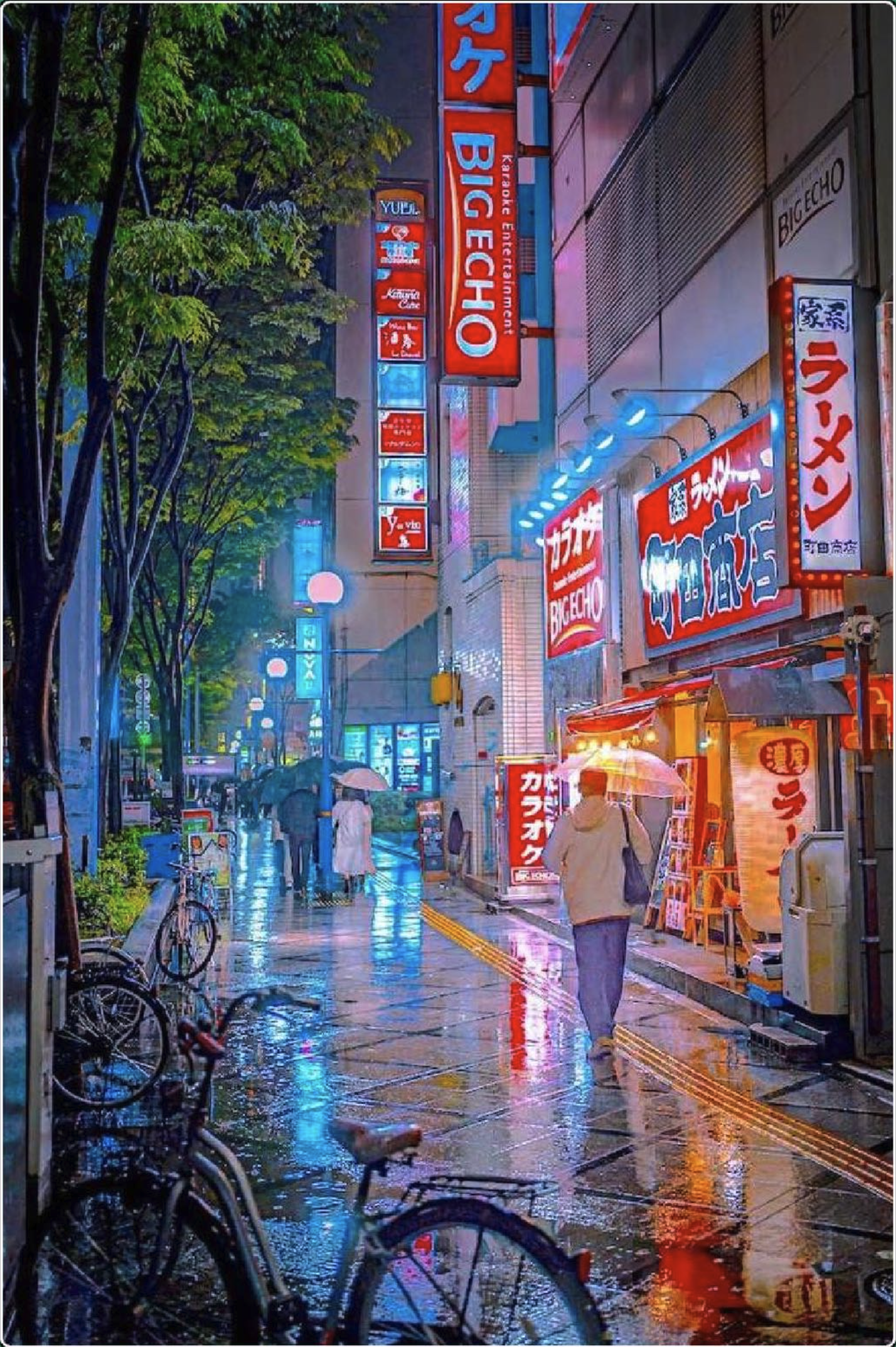 图片 1334