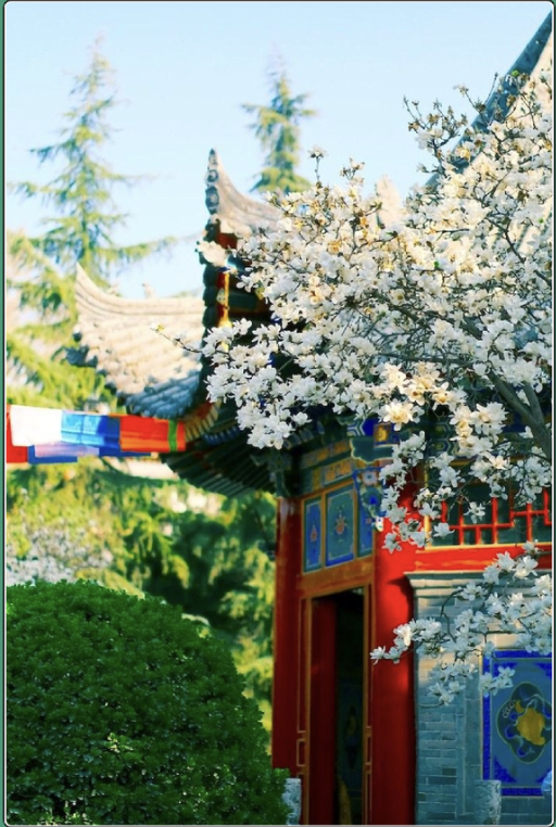 图片 1548