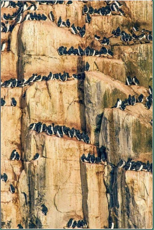 图片 1704