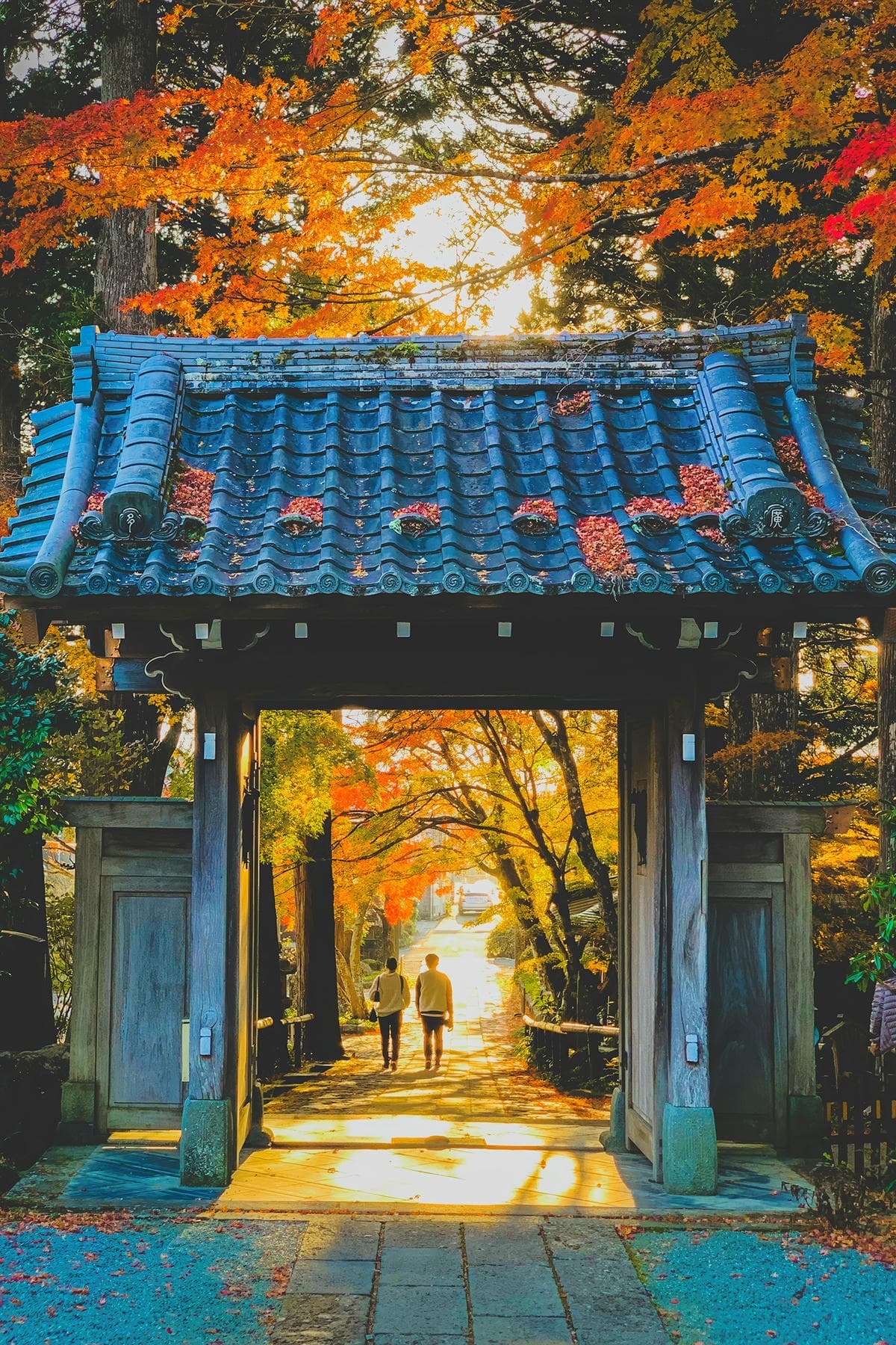 图片 804